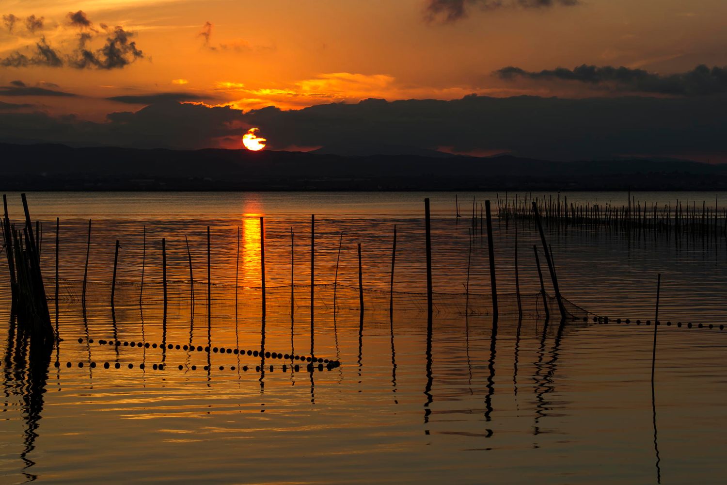 Sunset in Albufera, Valencia