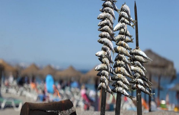 Beaches Fuengirola